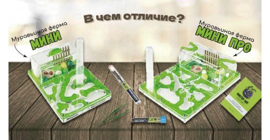 Мини или Мини ПРО: какую ферму выбрать