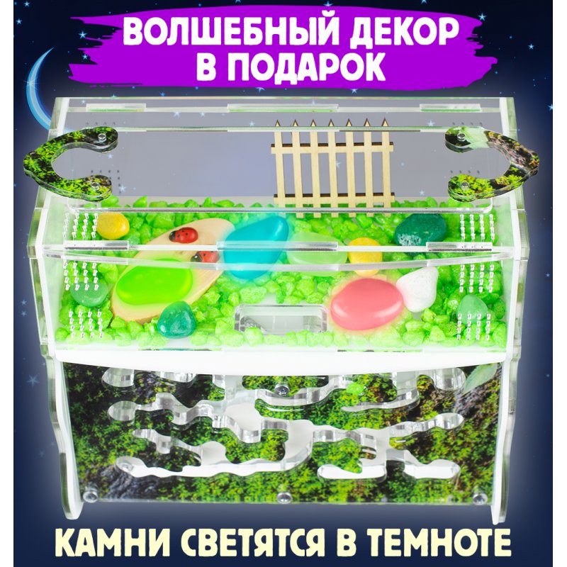 Муравьиная ферма Вертикаль "Горный мох" (ПОЛНЫЙ КОМПЛЕКТ) Муравьиная ферма Вертикаль "Горный мох" (ПОЛНЫЙ КОМПЛЕКТ)