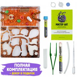 Муравьиная ферма Медиум "Дерево" (ПОЛНЫЙ КОМПЛЕКТ)