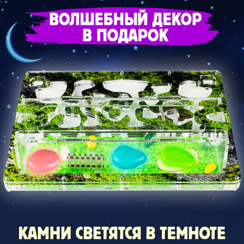 Муравьиная ферма Макси "Горный мох" (ПОЛНЫЙ КОМПЛЕКТ) Муравьиная ферма Макси "Горный мох" (ПОЛНЫЙ КОМПЛЕКТ)